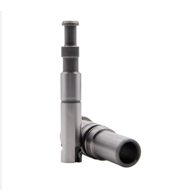 Element de piston pompă diesel 2418455055